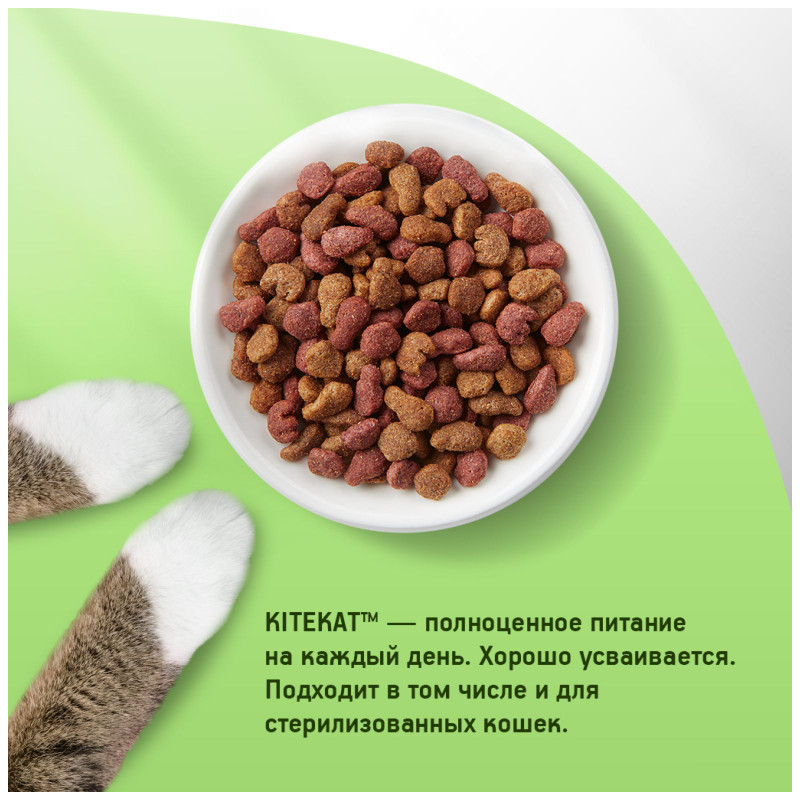 Сухой корм Kitekat полнорационный для взрослых кошек Телятинка Аппетитная, 800г — фото 2