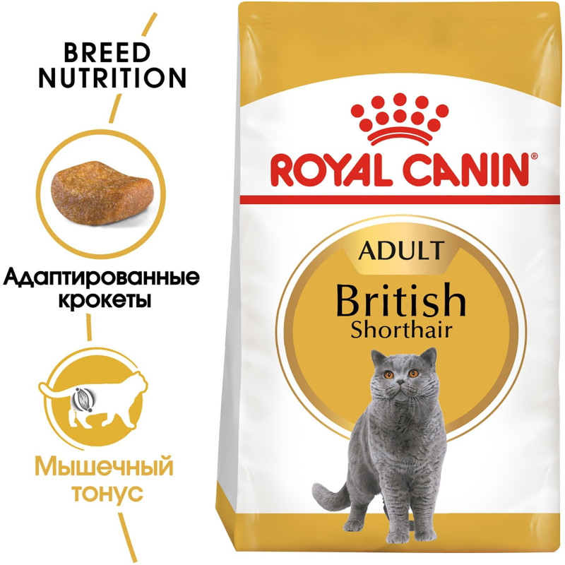 Сухой корм Royal Canin British Shorthair с птицей для кошек породы Британская короткошёрстная, 2кг — фото 1