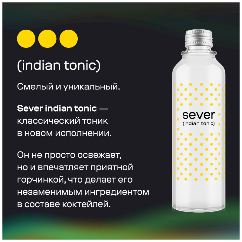 Тоник Sever Indian Tonic, 330мл — фото 1