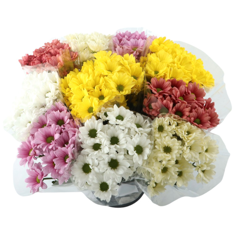 Цветы Русбукет Хризантема кустовая микс — фото 5