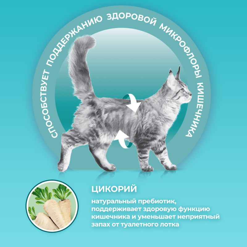 Сухой корм Purina One для взрослых кошек живущих в домашних условиях с индейкой, 750г — фото 4