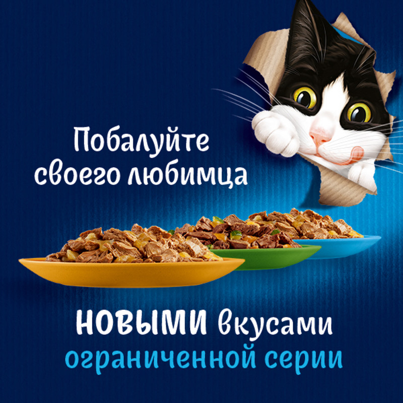 Корм Felix Аппетитные кусочки с тунцом, лососем, говядиной, курицей в желе для взрослых кошек, 1.02кг — фото 3