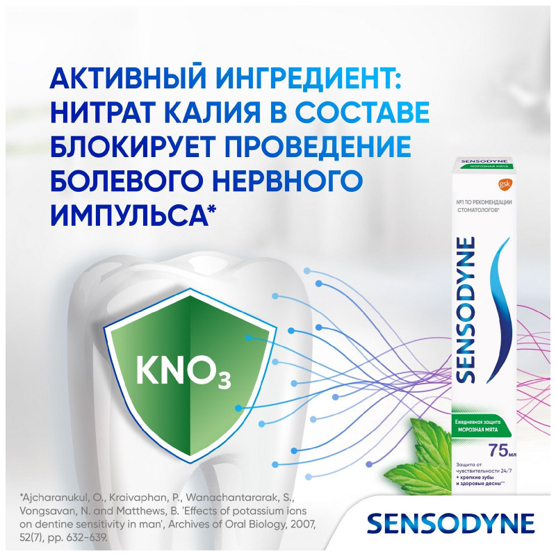 Зубная паста Sensodyne Ежедневная Защита Морозная Мята, 75мл — фото 1