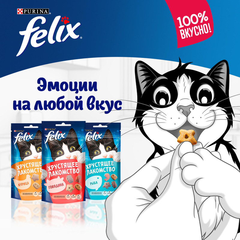 Корм сухой Felix Хрустящее Лакомство с сыром для кошек, 60г — фото 2
