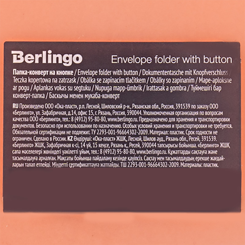 Папка-конверт на кнопке Berlingo "Starlight", 180мкм, А4 — фото 1