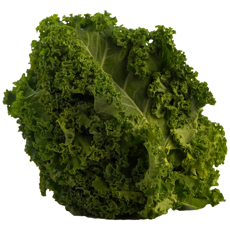 Салат Кейл листовой зеленый упаковка, 125г — фото 2
