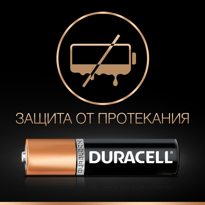 Батарейки Duracell Basic Plus AAF Plus, 2шт — фото 3