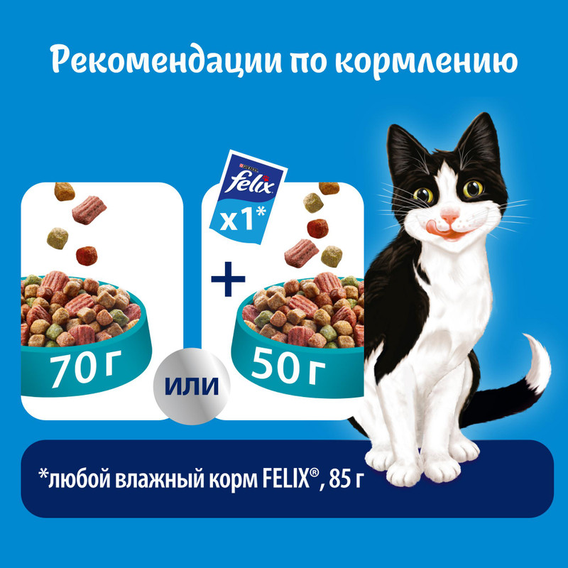 Корм сухой Felix Двойная вкуснятина с рыбой для кошек, 750г — фото 6