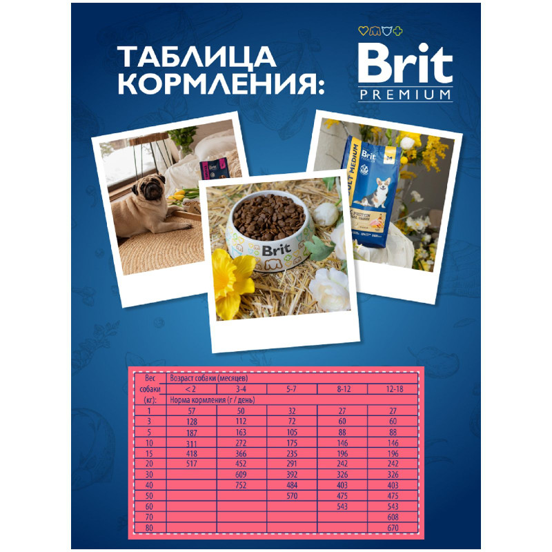 Корм Brit Premium сухой с курицей для щенков и молодых собак крупных пород, 3кг — фото 5