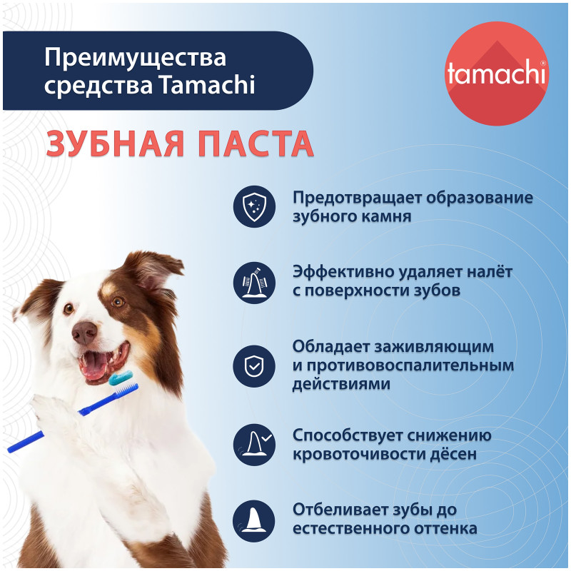 Зубная паста Tamachi для кошек и собак, 100мл — фото 2