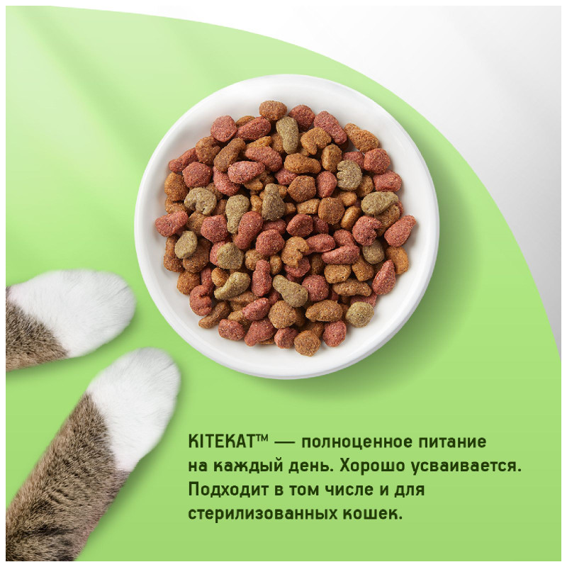 Сухой корм Kitekat полнорационный для взрослых кошек Курочка Аппетитная, 800г — фото 3